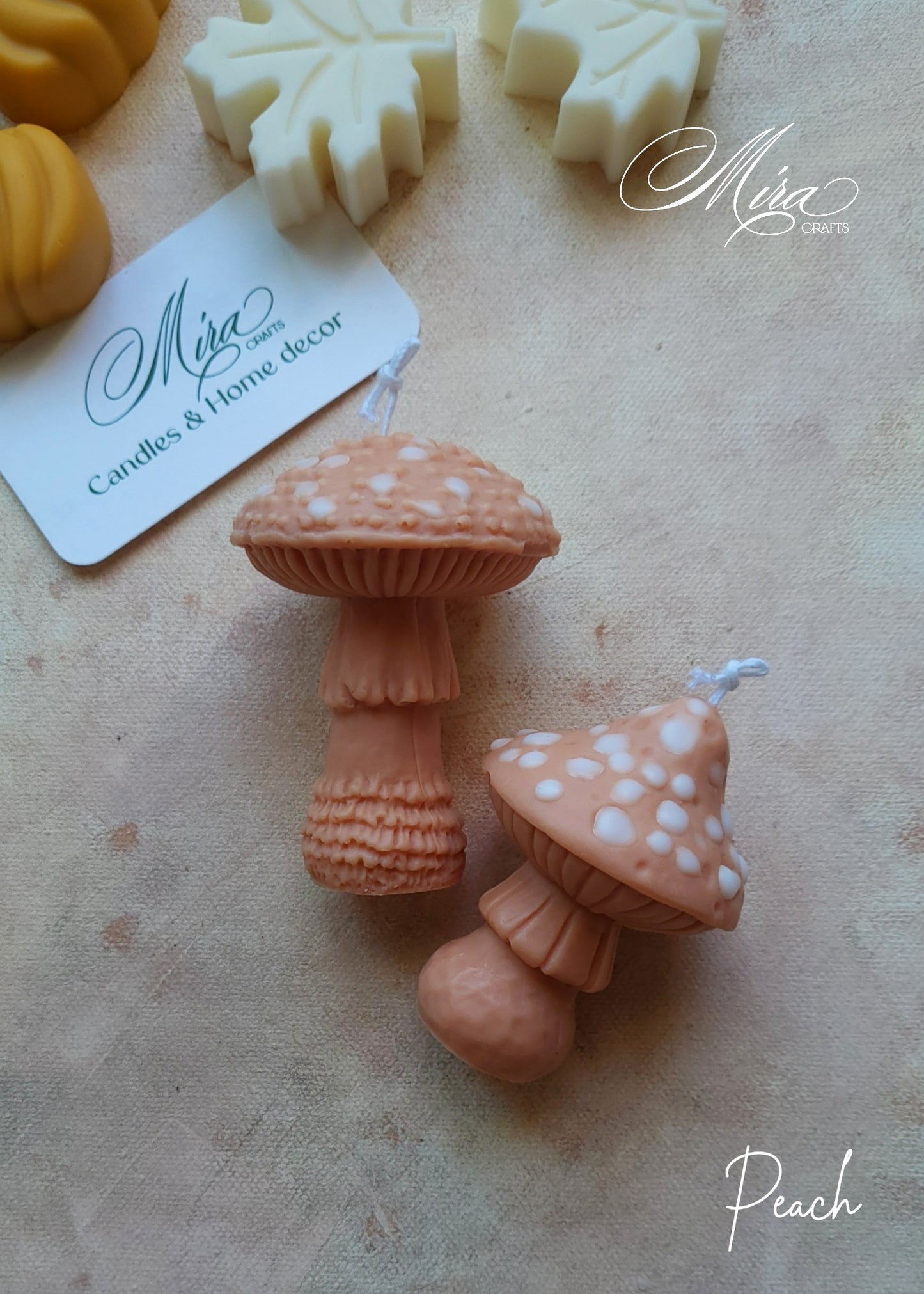 Set de Velas Seta