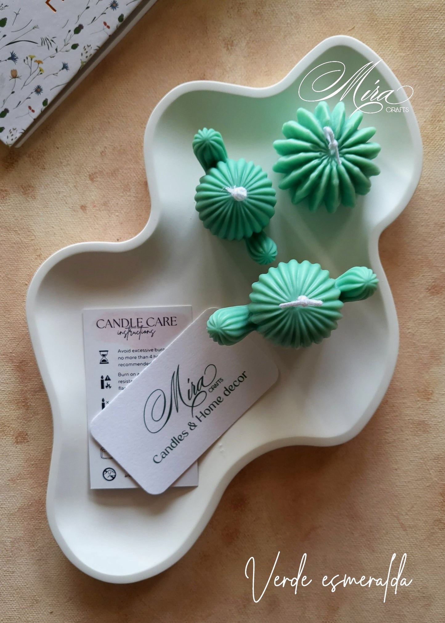 Set de Velas Cactus