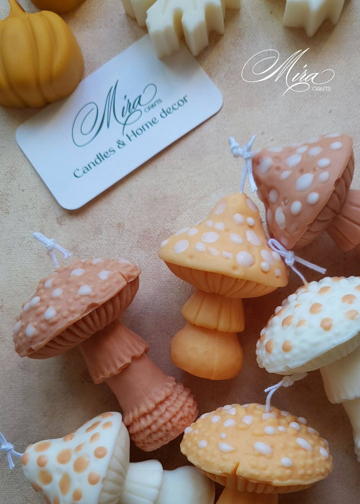 Set de Velas Seta