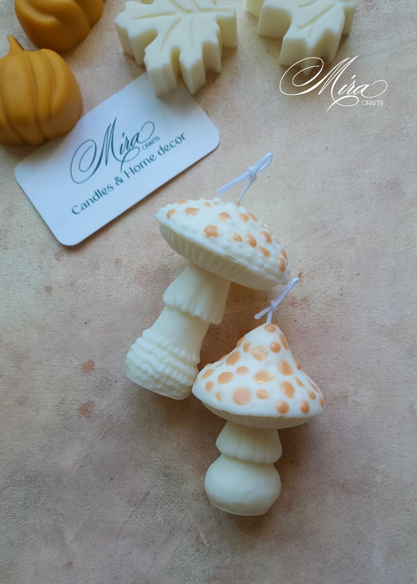 Set de Velas Seta