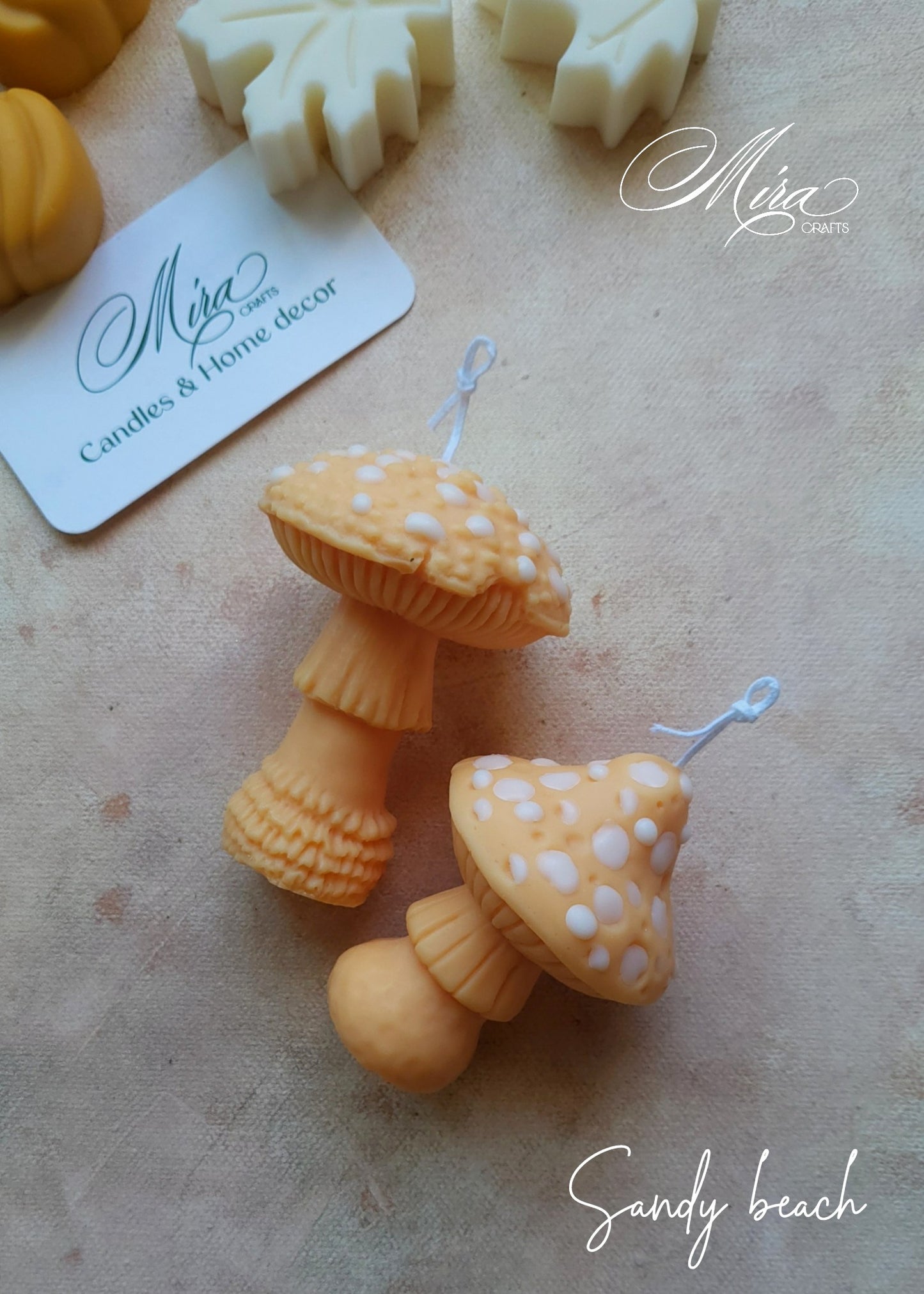 Set de Velas Seta